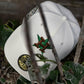 EXCLUSIVE NEW ERA 59FIFTY MLB HOUSTON ASTROS 60 YEARS CHROME WHITE / KELLY GREEN UV FITTED CAP ELF COLLECTION
